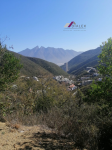Renacimiento (1)44